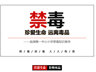 【平安莲园】远离毒品,珍爱生命——临湖第一中心小学禁毒知识宣传