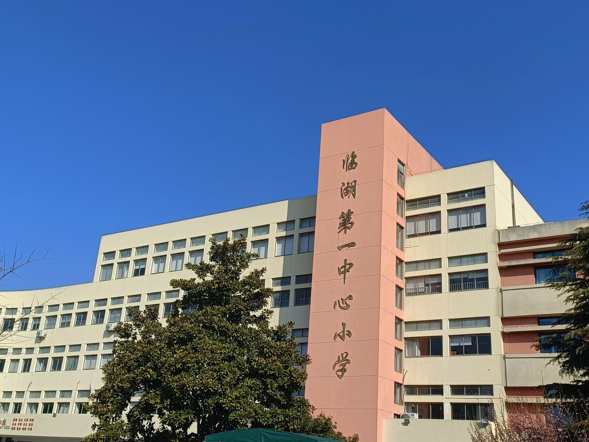 临湖第一中心小学食堂满意度调查汇总公示
