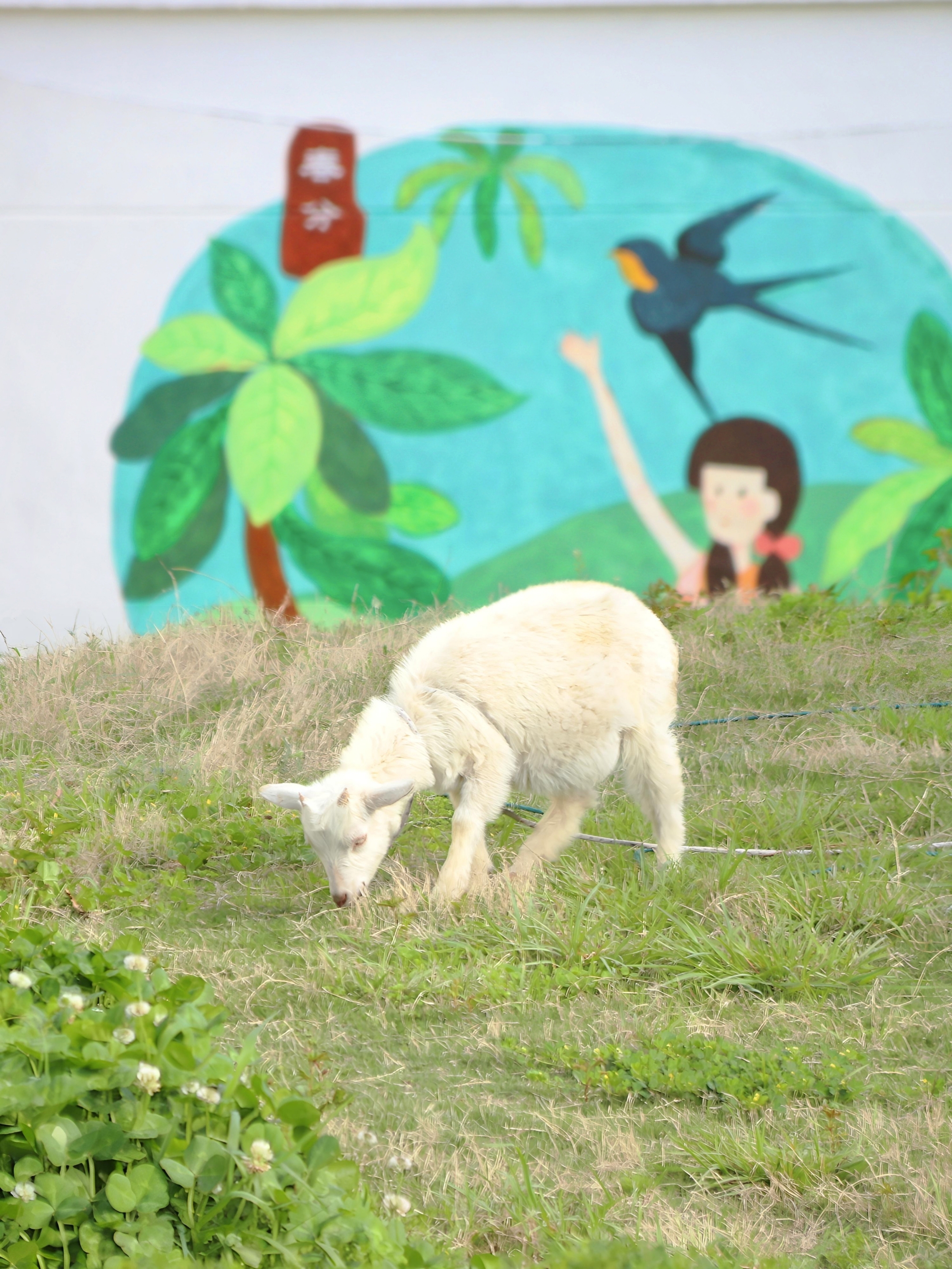 2. 苏州市吴中区临湖第一中心小学+朱睿佳+《校园牧歌》