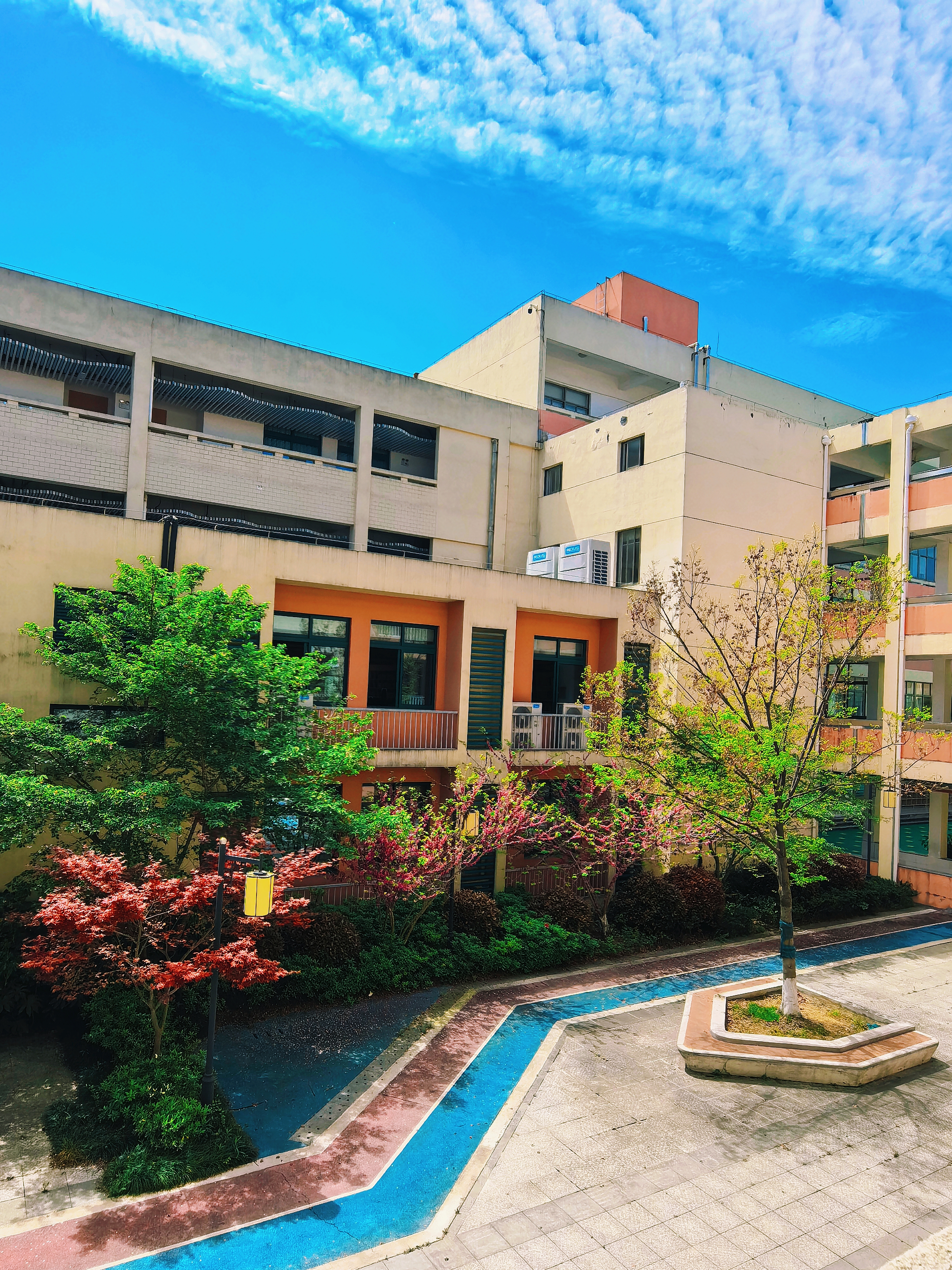 3.苏州市吴中区临湖第一中心小学+王倩莉+《春风得意》